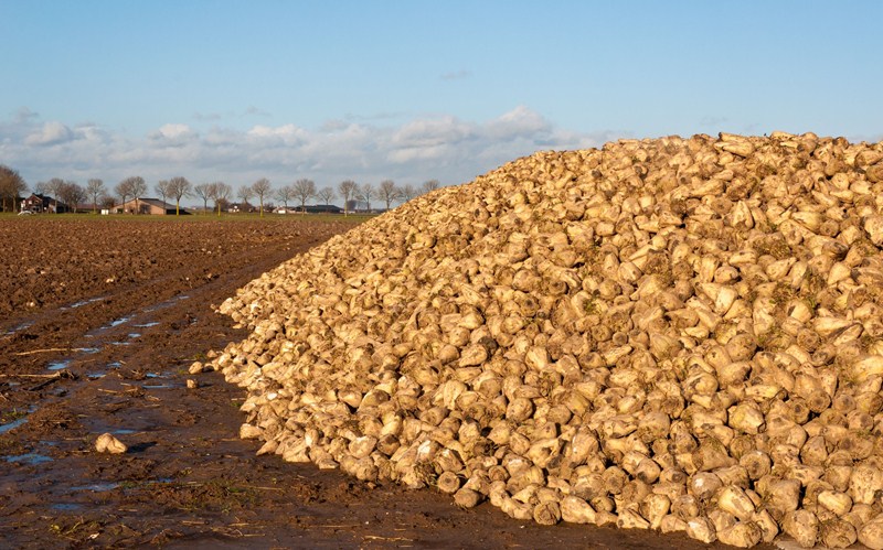 Aanwijzing bezwaar box 3 2020 als massaal bezwaar