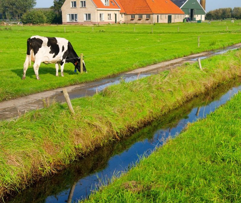 Verbouwing voor rekening bv was uitdeling van winst aan dga